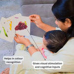 FRUIT CARDS AND COLOUR CARDS