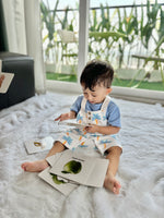 Green flash cards and Identical flash cards