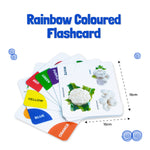 B4BRAIN BIRDS TWO PUZZLE CARDS & RAINBOW COLORED FLASH CARDS FOR BRAIN BOOSTERS & NON TEARABLE FLASHCARD SET |0-3 YEARS| EARLY LEARNING MONTESSORI