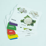 Rainbow colored flashcards For Babies 1-2 year - B4brain