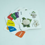 Rainbow colored flashcards For Babies 1-2 year - B4brain
