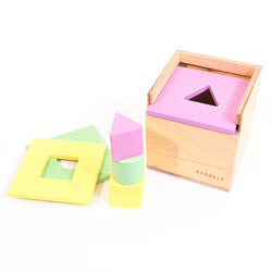 Ultimate Permanence Box with Shape Sorters | Educational Toys for baby