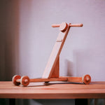 B4brain traditional scientific wooden push Walker Toys for kids