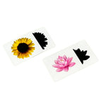 Shadow matching card - B4brain