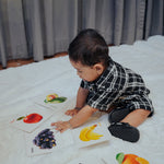 FRUIT CARDS AND COLOUR CARDS