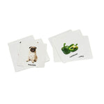 Green flash cards and Identical flash cards For 7-9 month - B4brain
