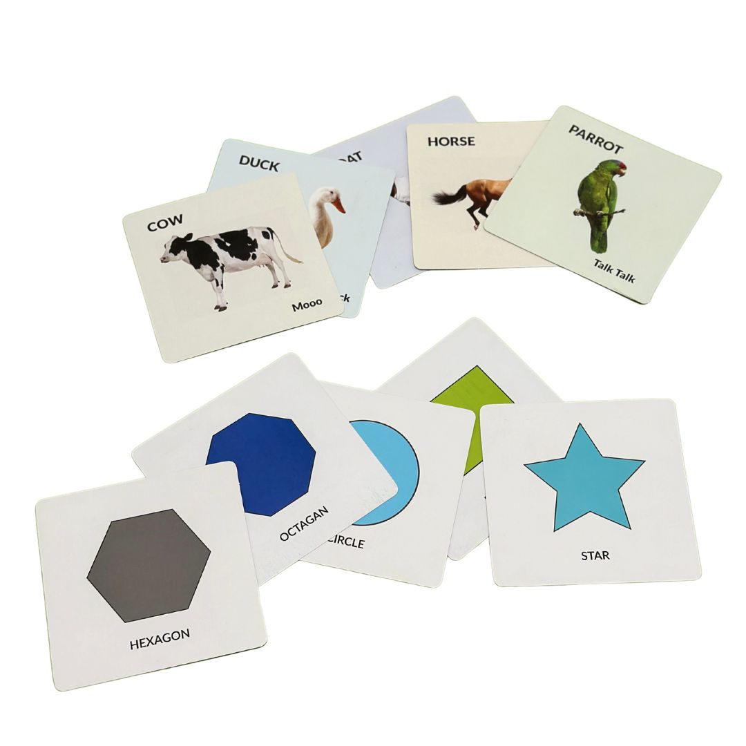 Shape Cards And Pet Animal Cards For babies 10-12 - B4brain