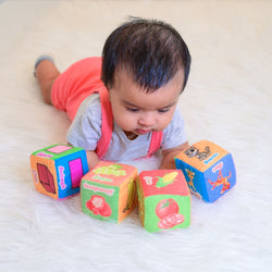 Complete Playbox(4-6 months) Babies For Brain Development Designed by Experts