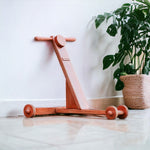 B4brain traditional scientific wooden push Walker Toys for kids
