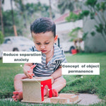 Object Permanence Box + Ball +Magic colour cloths For babies 0-1 year for brain development designed by Experts - B4brain