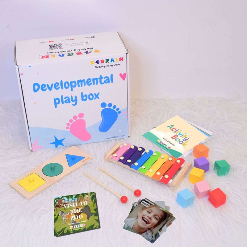 Basic Playbox(12-15months) Babies For Brain Development Designed by Experts