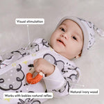 Development Toys For 2 Year Olds