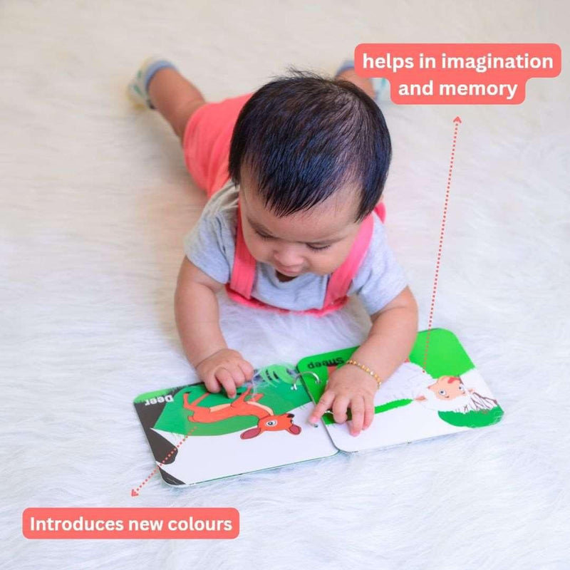 Complete Playbox(4-6 months) Babies For Brain Development Designed by Experts