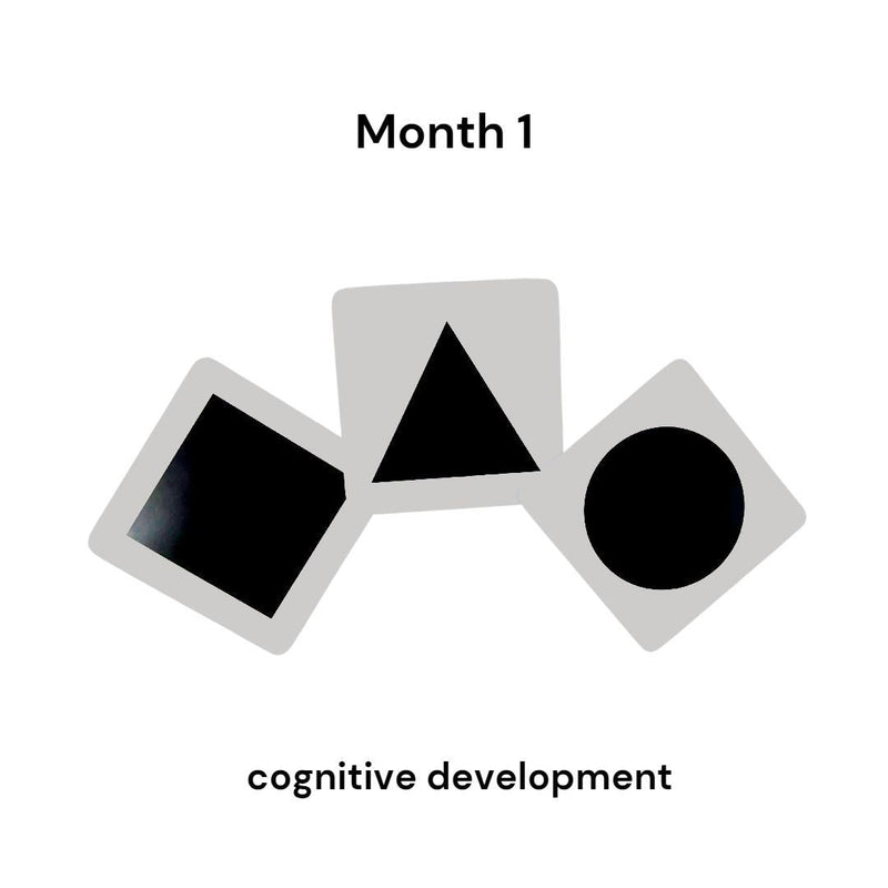 Newborn Cards 0-3 Months Babies For Brain Development Designed By Experts