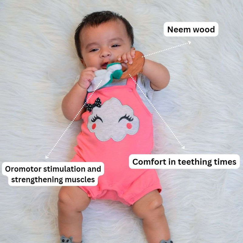 Neem Wooden Fruit Teether (mango) For babies 0-1 year brain development Toys