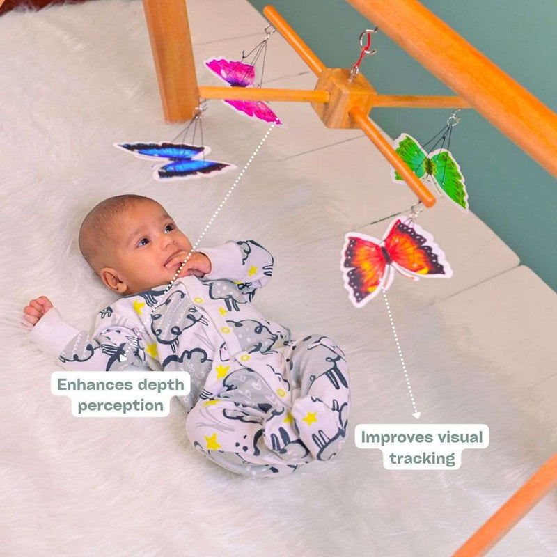 NEWBORN PLAYBOX 0-3 MONTHS (COMPLETE)