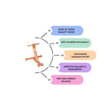 B4BRAIN TRADITIONAL SCIENTIFIC WOODEN PUSH WALKER FOR BABIES